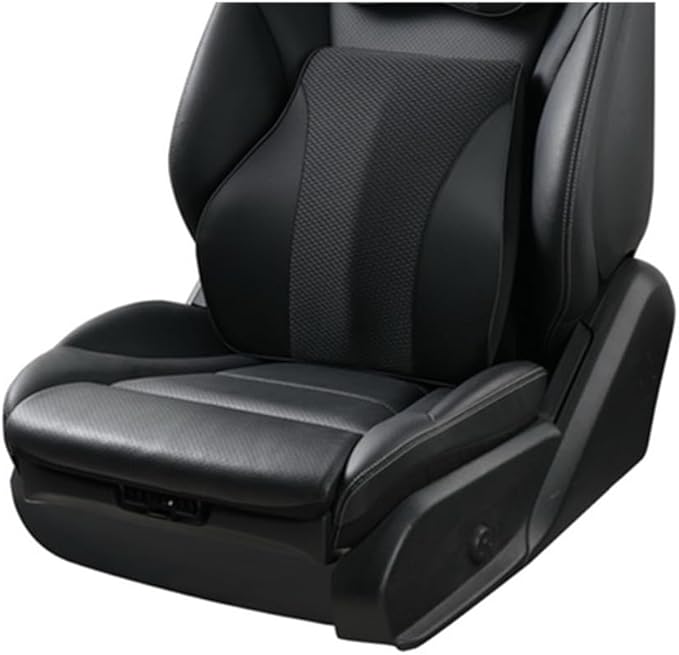 Memory Foam Waist Support Pillow Middle/Lower Back Support pad is Used for car Seats, Office Chairs, Lounge Chairs, etc (Black)