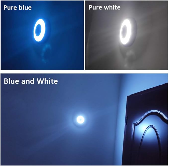 Teguangmei Auto Car Interior Ceiling Roof Dome Light Fixture with USB Rechargeable 20LED Car Dome Lamp Universal for Car Truck Trailer Camper Motorhome Boat(White Blue Light)
