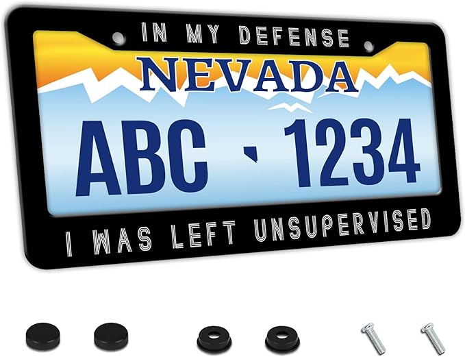 MIOAOSRT in My Defense I was Left Unsupervised License Plate Frame Funny License Plate Cover Car Tag Holder Metal License Plate Frame Fits Standard U.S.Vehicles 12x6 Inch