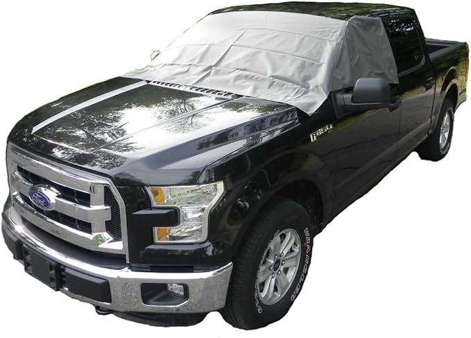 Windshield and Side Window Cover