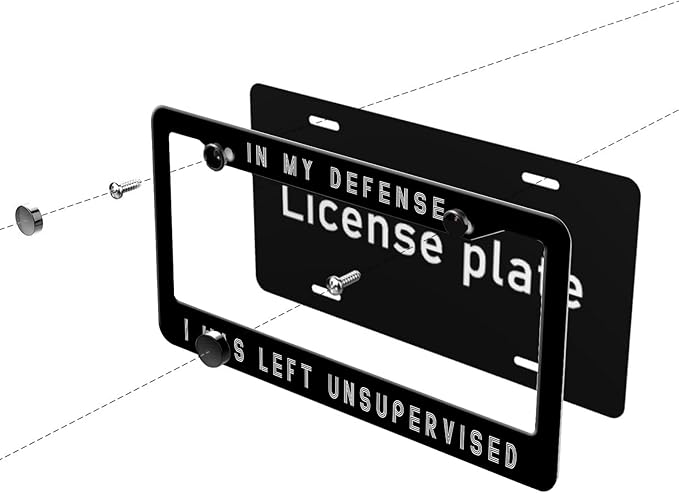 MIOAOSRT in My Defense I was Left Unsupervised License Plate Frame Funny License Plate Cover Car Tag Holder Metal License Plate Frame Fits Standard U.S.Vehicles 12x6 Inch