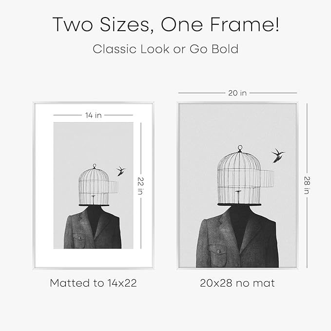 Homeforia 20x28 Picture Frame Silver, High End Metal 20 x 28 Poster Frame with Mat 14 x 22 for Photo, 20x28 Silver Frames Matted to 14x22 Print, 28x20 Hanging Frame, Tempered Glass, Wall Kit, Set of 3