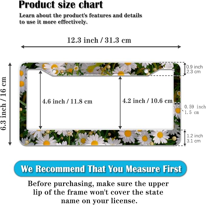 Fun License Plate Frame Cover Multicolor License Plate Frames Daisy Flower Universal Aluminum Car Accessory 2 Pack with Screw Covers Set