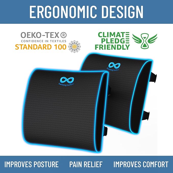 Everlasting Comfort Lumbar Support Cushion for Car Seat - Memory Foam Back Cover for Car - Lumbar Support Promotes Better Posture, Back Pain Relief - Ideal for Driving