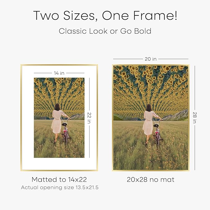 Homeforia 20x28 Picture Frame Gold, High End Metal 20 x 28 Poster Frames with Mat 14 by 22 Photo, 20x28 Gold Frame Matted to 14x22 Print, 28x20 Large Hanging Frames, Tempered Glass, Wall Kit, Set of 2