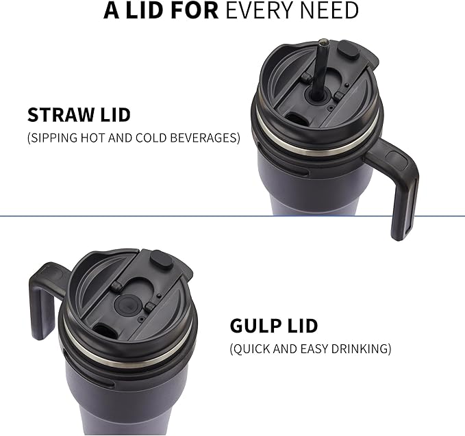 ALOUFEA 20 oz Insulated Coffee Mug Tumbler with Handle, Stainless Steel Travel Mug Tumbler with Lid and Straw,Double Wall Vacuum Leak Proof Ice Coffee Thermal Cup, Dark Rainbow