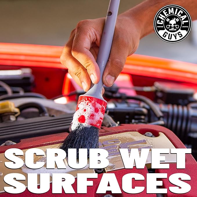 Chemical Guys ACC601 1 Pack Exterior Detailing Brush , Gray