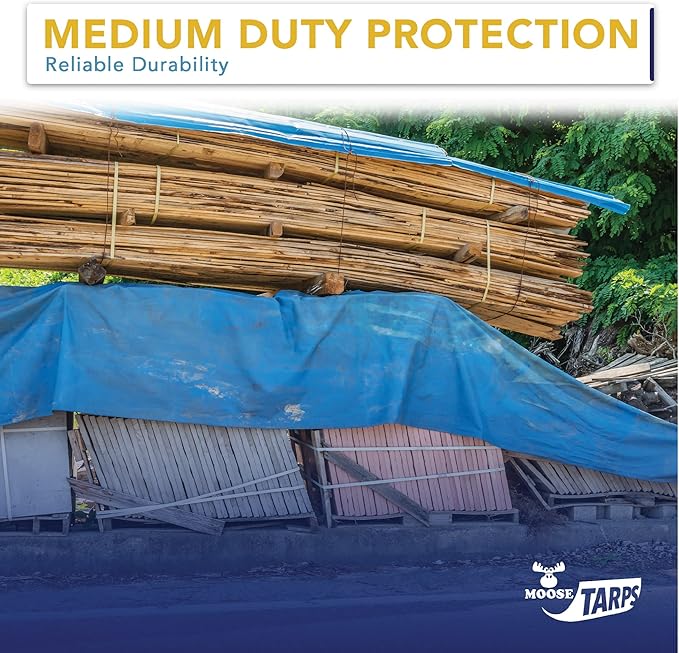 30' x 50' Waterproof Tarp | Medium Duty Reversible Blue/Silver | Multipurpose Indoor/Outdoor Use: Tents, Wood Cover, Furniture, Car, Boat, Pool, & More | Tear Resistant