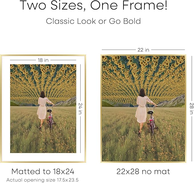 Homeforia 22x28 Picture Frame Gold, High End Metal 22 x 28 Large Poster Frames with Mat 18 by 24 for Photo, 22x28 Gold Frame Matted to 18x24 inch Print, 28x22 Frame, Tempered Glass, Wall Kit, Set of 2